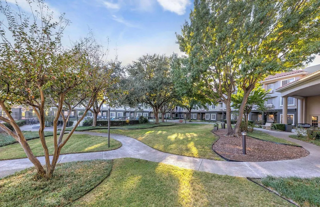 La Quinta By Wyndham Dallas Dfw Airport North-1